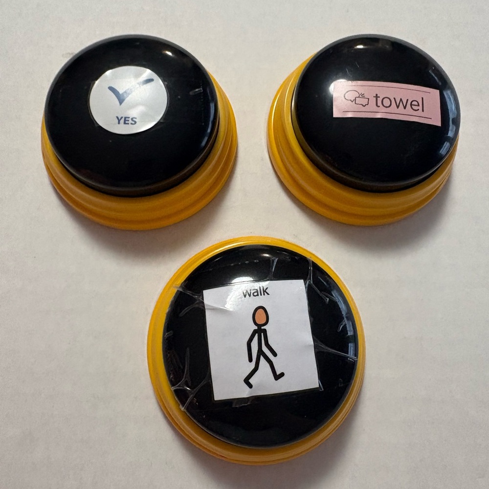 Set of Three Yellow and Black word Buttons